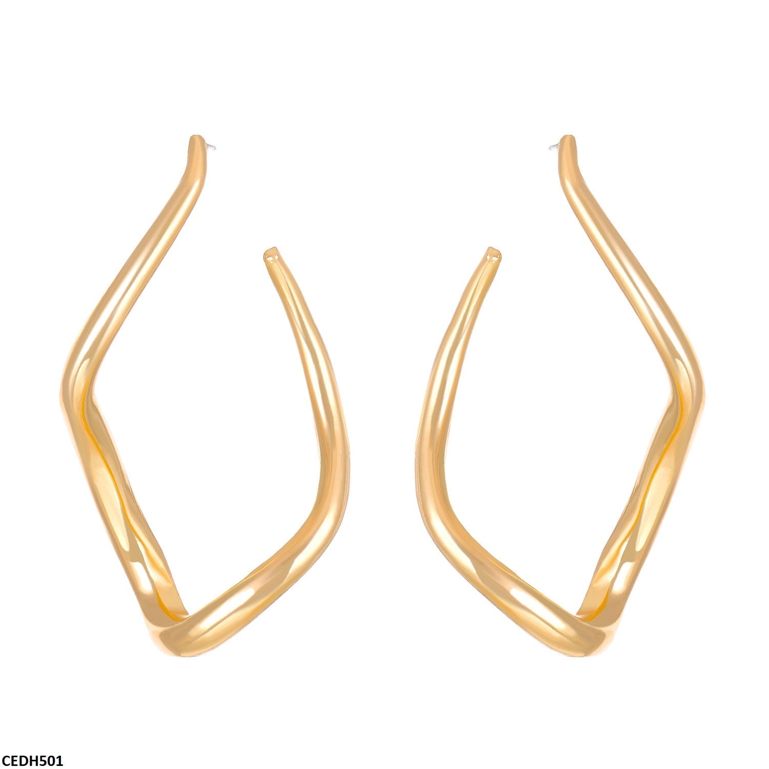 CEDH501 QWN Stainless Steel  Earrings - CEDH