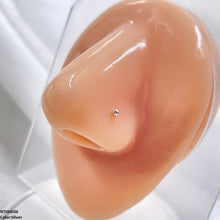 NTHH036 XYL Plain Nose Pin - NTHH